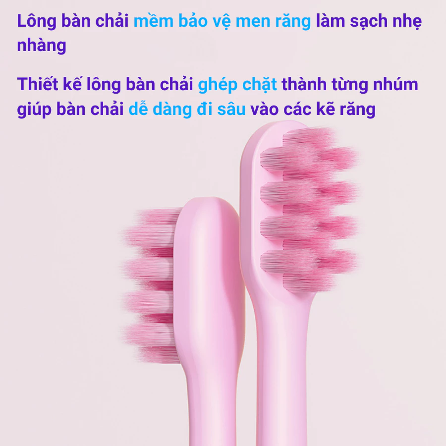 Lông bàn chải mềm, an toàn cho nướu
